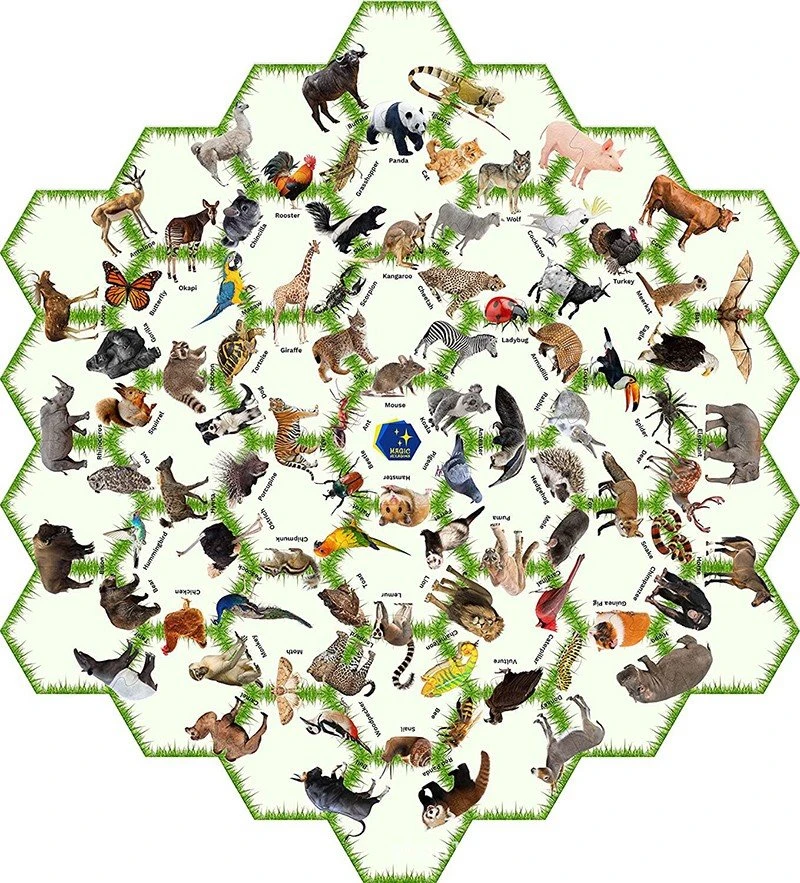 Irregular Floor Puzzle price