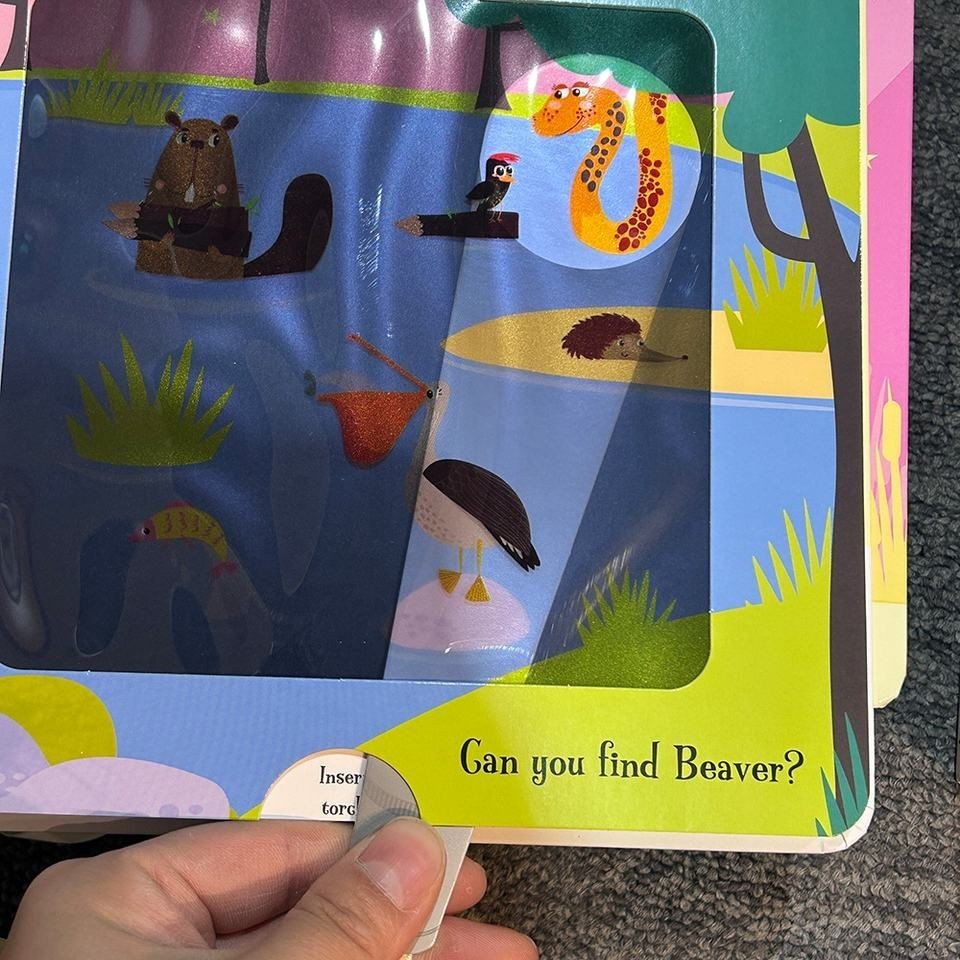 Magic Torch Children's Picture Book suppliers
