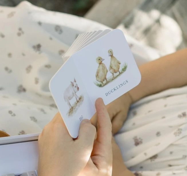Mini Board Book Set best