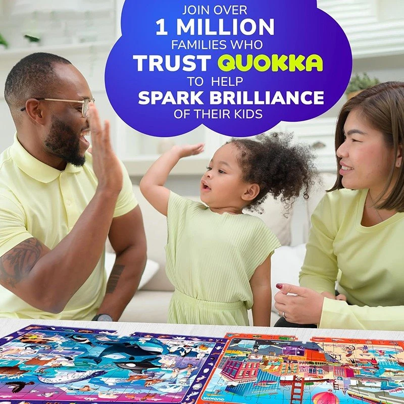 Observation Puzzle Set suppliers