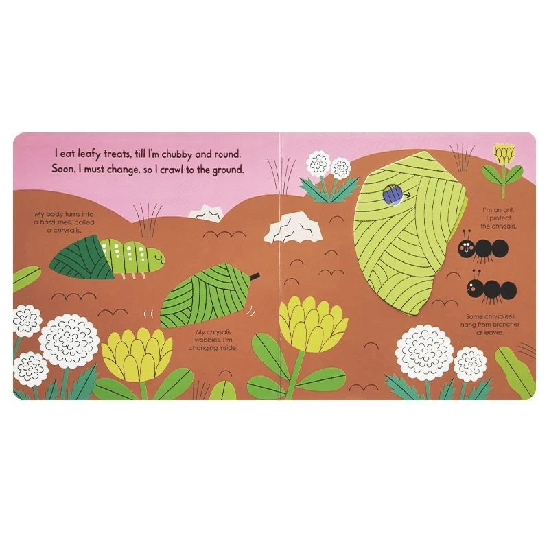 Push-and-pull Board Book best