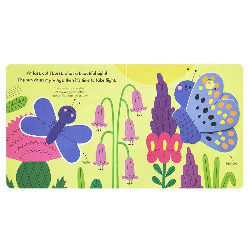 Push-and-pull Board Book high quality