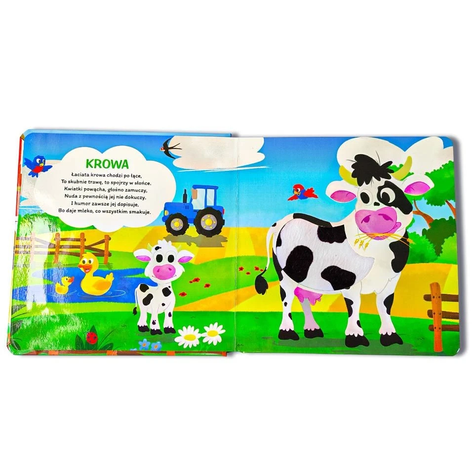 Touch-and-Feel Board Book best